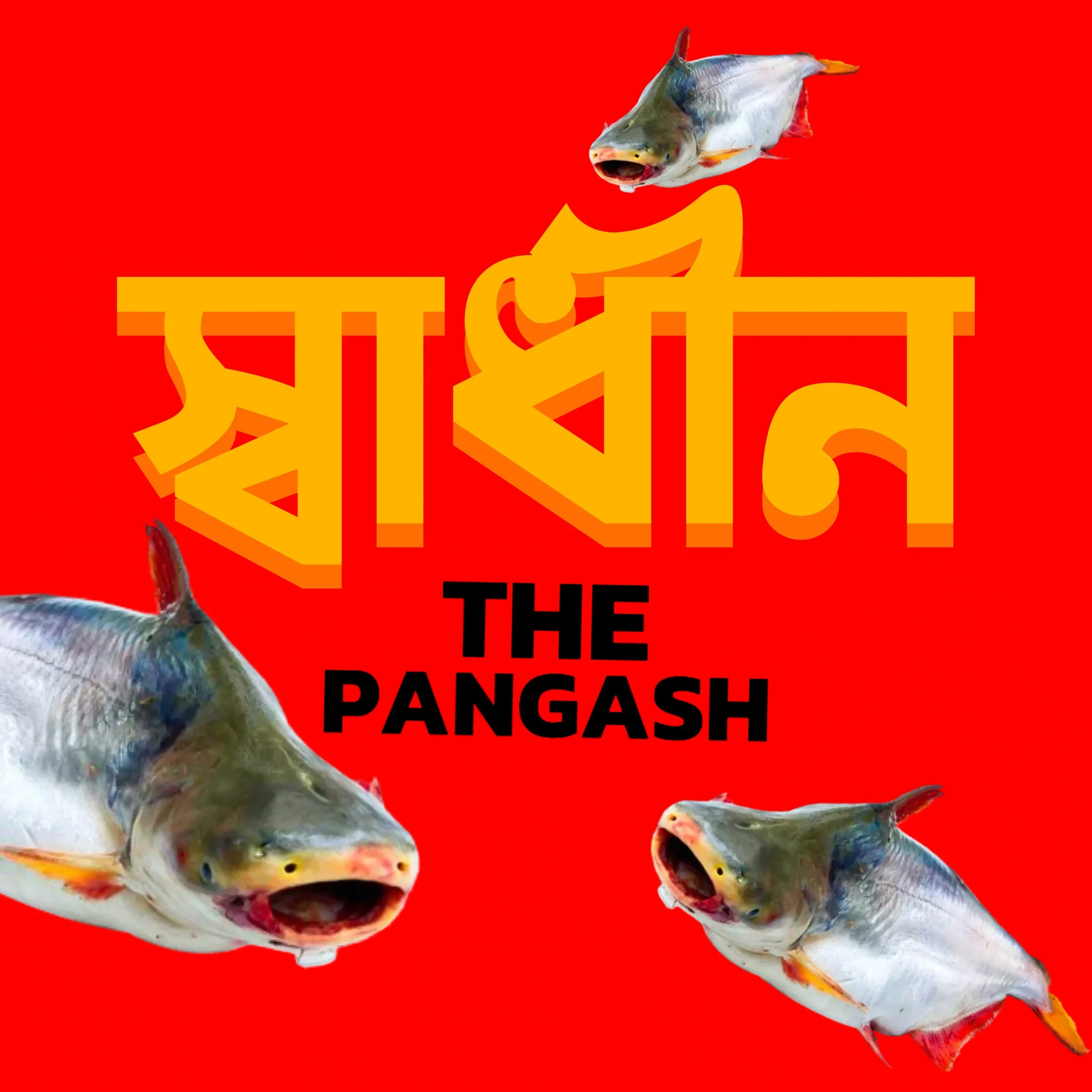 The Pangash